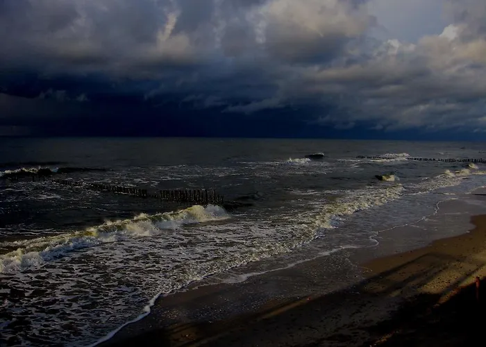 Zuzia * דז'ווירז'ינו